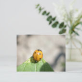 24102386 POSTKARTE (Stehend Vorderseite)