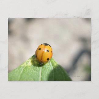 24102386 POSTKARTE