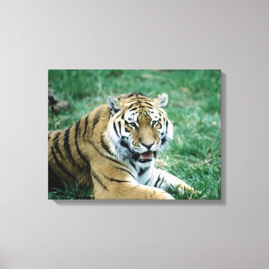 24103189 LEINWANDDRUCK (Vorderseite)