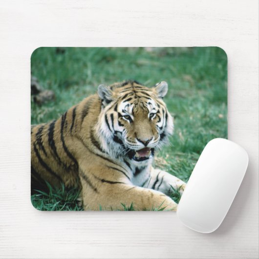 24103189 MOUSEPAD (Mit Mouse)