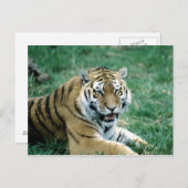 24103189 POSTKARTE (Vorne/Hinten)