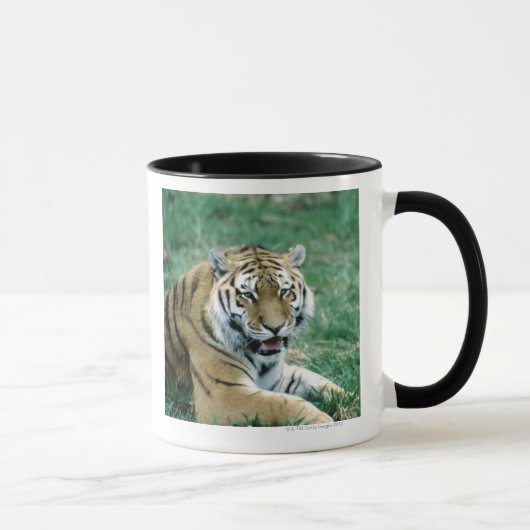 24103189 TASSE (Rechts)