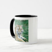 24103189 TASSE (Vorderseite Links)