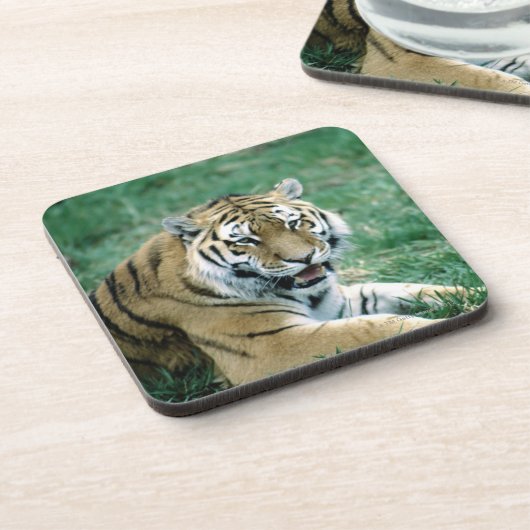 24103189 UNTERSETZER (Linke Seite)