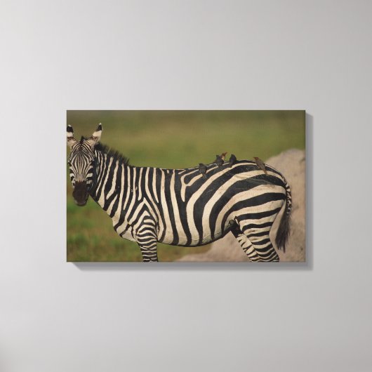 24109277 LEINWANDDRUCK (Vorderseite)