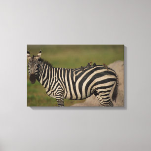 24109277 LEINWANDDRUCK