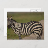 24109277 POSTKARTE (Vorne/Hinten)