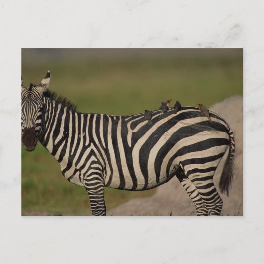 24109277 POSTKARTE (Vorderseite)