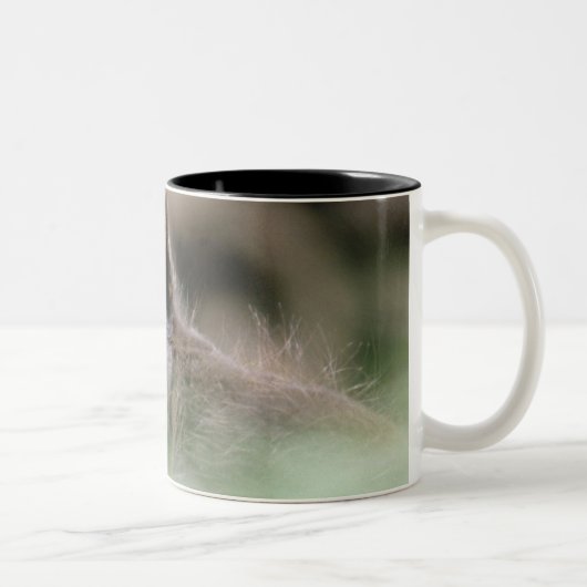 24112466 ZWEIFARBIGE TASSE (Rechts)