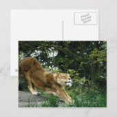 24114343 POSTKARTE (Vorne/Hinten)