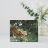 24114343 POSTKARTE (Stehend Vorderseite)