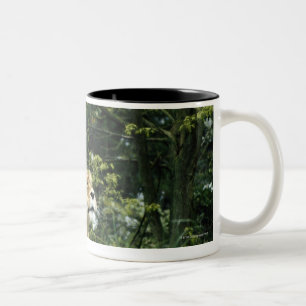 24114343 ZWEIFARBIGE TASSE