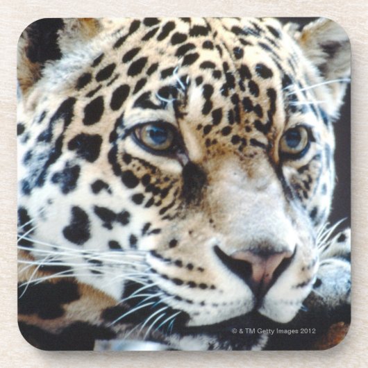 24114363 GETRÄNKEUNTERSETZER (Vorderseite)