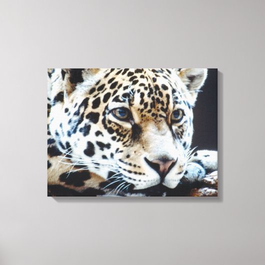 24114363 LEINWANDDRUCK (Vorderseite)