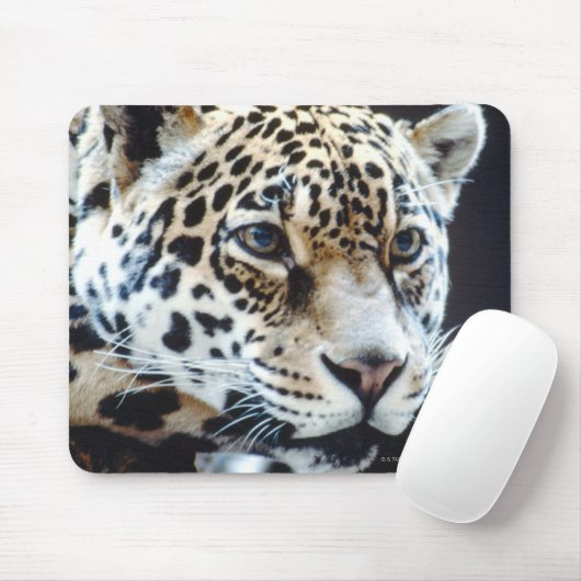 24114363 MOUSEPAD (Mit Mouse)