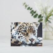 24114363 POSTKARTE (Stehend Vorderseite)