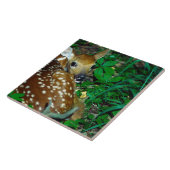 24114390 FLIESE (Seite)