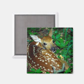 24114390 MAGNET (Vorderseite/Rückseite)