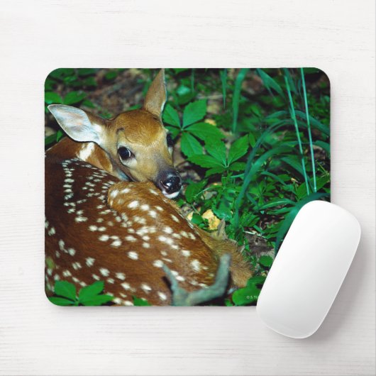 24114390 MOUSEPAD (Mit Mouse)