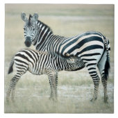 24114480 FLIESE (Vorderseite)