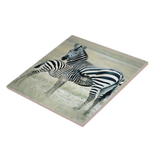 24114480 FLIESE (Seite)