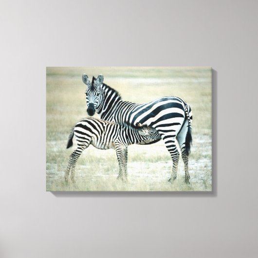 24114480 LEINWANDDRUCK (Vorderseite)