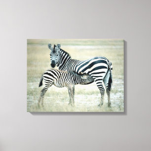 24114480 LEINWANDDRUCK