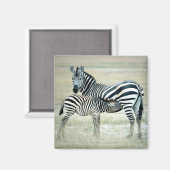 24114480 MAGNET (Vorderseite/Rückseite)