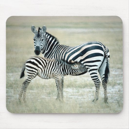 24114480 MOUSEPAD (Vorne)