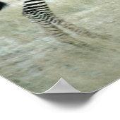 24114480 POSTER (Ecke)