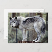 24114488 POSTKARTE (Vorne/Hinten)