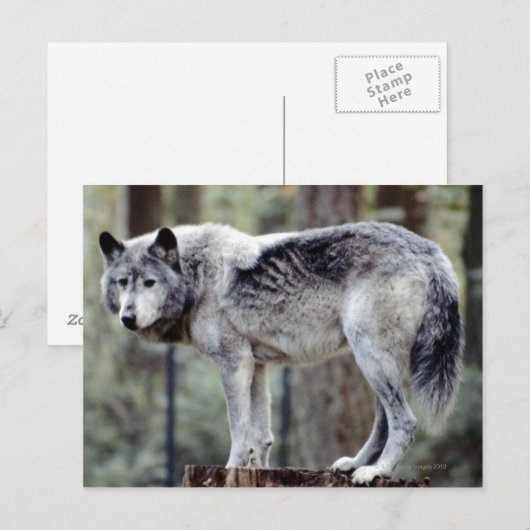 24114488 POSTKARTE (Vorne/Hinten)