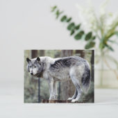 24114488 POSTKARTE (Stehend Vorderseite)