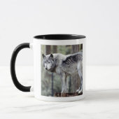 24114488 TASSE (Links)
