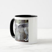 24114488 TASSE (Vorderseite Links)