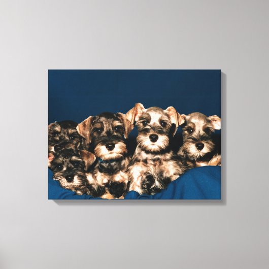 24117057 LEINWANDDRUCK (Vorderseite)