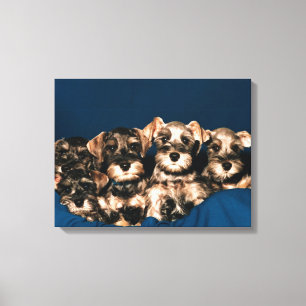 24117057 LEINWANDDRUCK