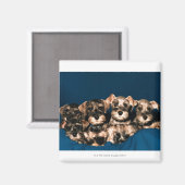 24117057 MAGNET (Vorderseite/Rückseite)