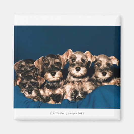 24117057 MAGNET (Vorne)