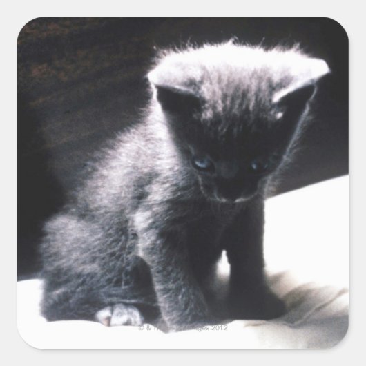 24117556 QUADRATISCHER AUFKLEBER (Vorderseite)