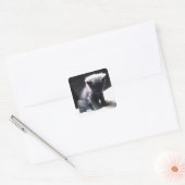 24117556 QUADRATISCHER AUFKLEBER (Umschlag)