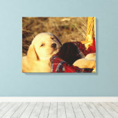 24117967 LEINWANDDRUCK (Insitu (Holzboden))