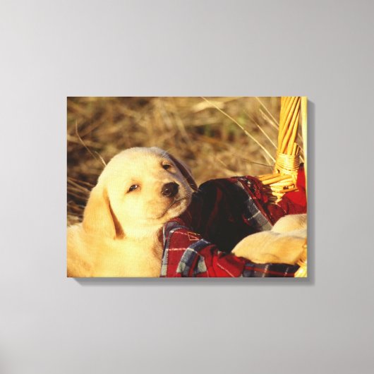 24117967 LEINWANDDRUCK (Vorderseite)