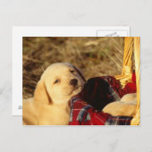 24117967 POSTKARTE (Vorne/Hinten)