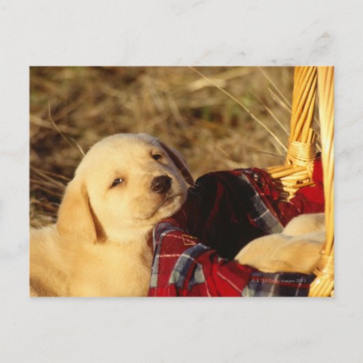 24117967 POSTKARTE (Vorderseite)