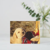 24117967 POSTKARTE (Stehend Vorderseite)