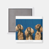 24119671 MAGNET (Vorderseite/Rückseite)