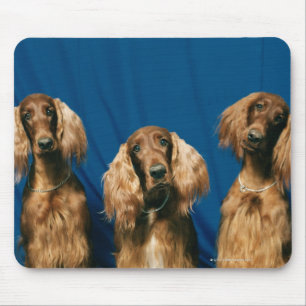 24119671 MOUSEPAD