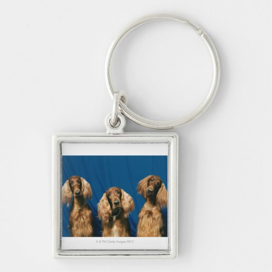 24119671 SCHLÜSSELANHÄNGER (Vorne)