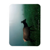 24121885 MAGNET (Vertikal)